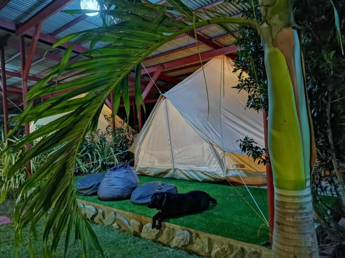 Glamping Alona Διαμέρισμα Panglao Εξωτερικό φωτογραφία